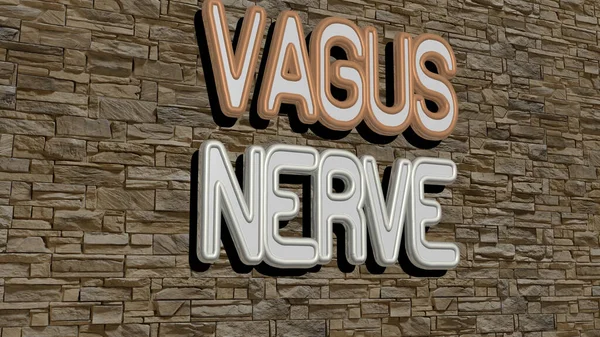 Kalıplı duvarda VAGUS NERVE metin, beyin ve insan için 3D illüstrasyon