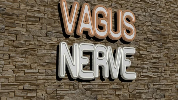 Текст Vagus Nerve Текстурированной Стене Трехмерная Иллюстрация Мозга Человека Стоковое Изображение