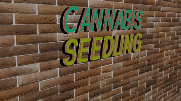 Cannabis Frön Text Strukturerad Vägg Illustration För Marijuana Och Bakgrund — Stockfoto
