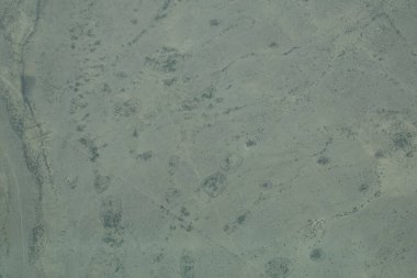 Ağaçlı Afrika savanı 