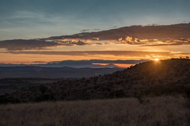 Ağaçlı Afrika savanı 