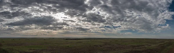 Savana Africano Com Árvores — Fotografia de Stock