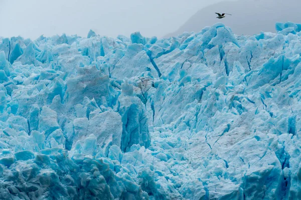 Formação Gelo Antártida Logo Atrás Estreito Gerlache Onde Existe Este — Fotografia de Stock