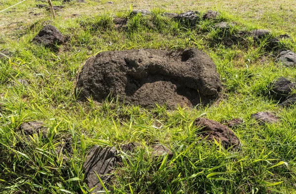 Ahu Tongariki 'den Moais, Paskalya Adası, Şili