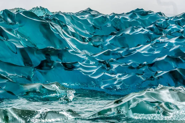 Formazione Ghiaccio Antartide Appena Oltre Stretto Gerlache Esiste Questo Giardino — Foto Stock