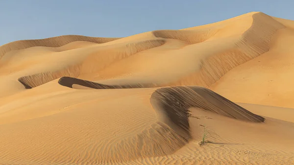 Tramonto Nel Deserto Sfondo Del Deserto — Foto Stock