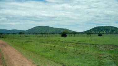 Serengeti Milli Parkı 'nda Afrika Panoraması