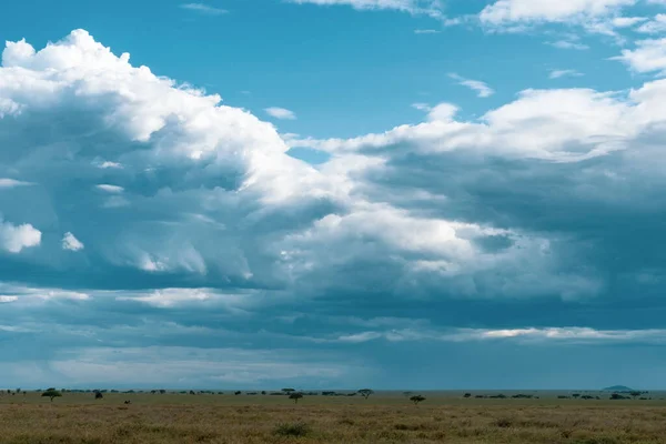 Panorama Africain Dans Parc National Serengeti — Photo