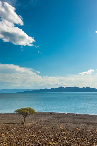 Turkana Állandó Sivatagi — Stock Fotó