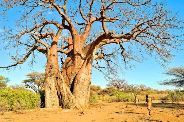 Eyasi Meer Het Noorden Van Tanzania — Stockfoto