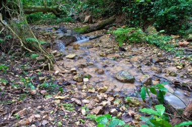 Gombe Ulusal Parkı