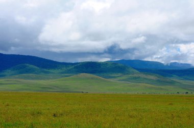 Ruaha Milli Parkı manzarası