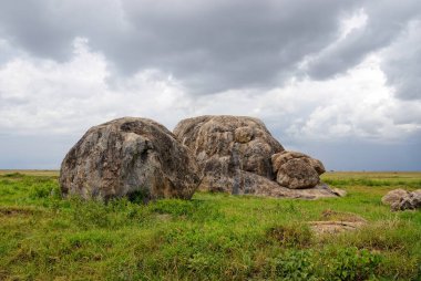 Ruaha Milli Parkı manzarası