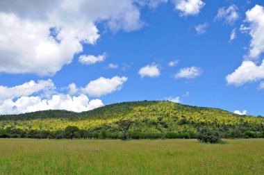 Ruaha Milli Parkı manzarası