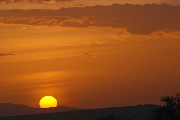 Ruaha Milli Parkı Manzarası — Stok fotoğraf