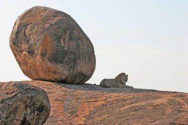 Ruaha Milli Parkı manzarası