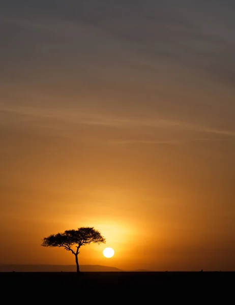 Paisaje Del Parque Nacional Ruaha — Foto de Stock