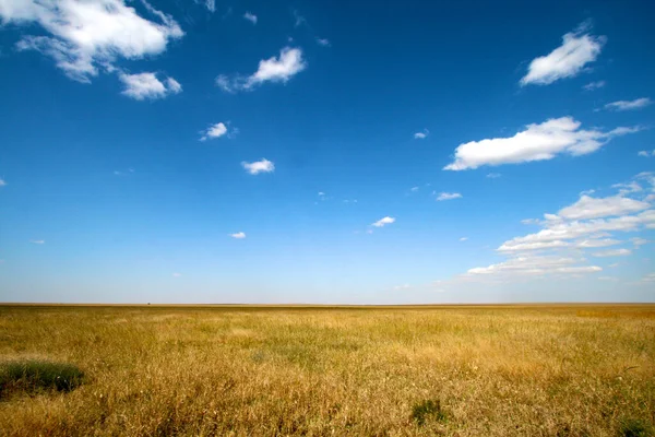 Nationaal Park Serengeti Tanzania — Stockfoto