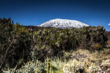 Kilimanjaro Dağı 'nın manzarası - Afrika' nın Tanzanya 'daki çatısı.