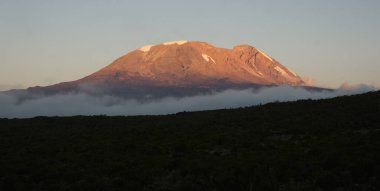 Kilimanjaro Dağı 'nın manzarası - Afrika' nın Tanzanya 'daki çatısı.