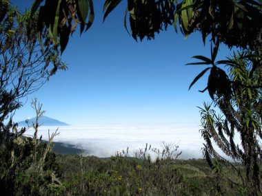 Kilimanjaro Dağı 'nın manzarası - Afrika' nın Tanzanya 'daki çatısı.