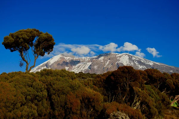 Paisagem Monte Kilimanjaro Telhado África Tanzânia — Fotografia de Stock