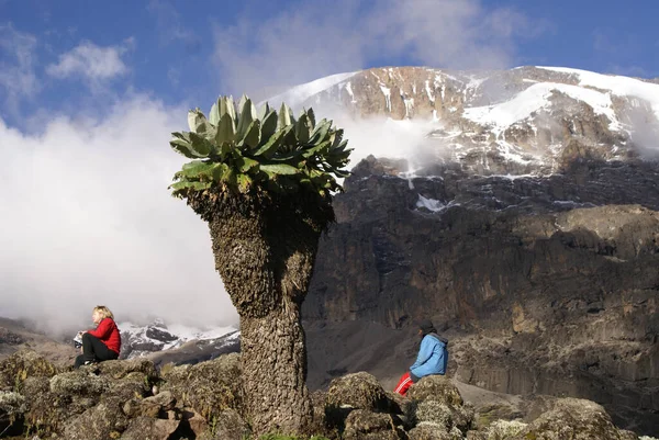 Landskab Mount Kilimanjaro Taget Afrika Tanzania - Stock-foto