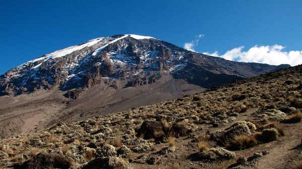 Paisagem Monte Kilimanjaro Telhado África Tanzânia — Fotografia de Stock