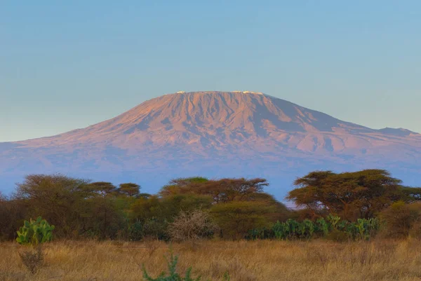 Ландшафт Гори Кіліманджаро Дах Африки Танзанії — стокове фото