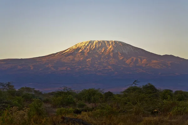 Kilimanjaro Dağı 'nın manzarası - Afrika' nın Tanzanya 'daki çatısı.