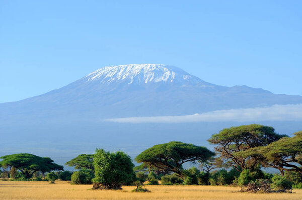 Landscape of Mount Kilimanjaro - the roof of Africa in Tanzania.