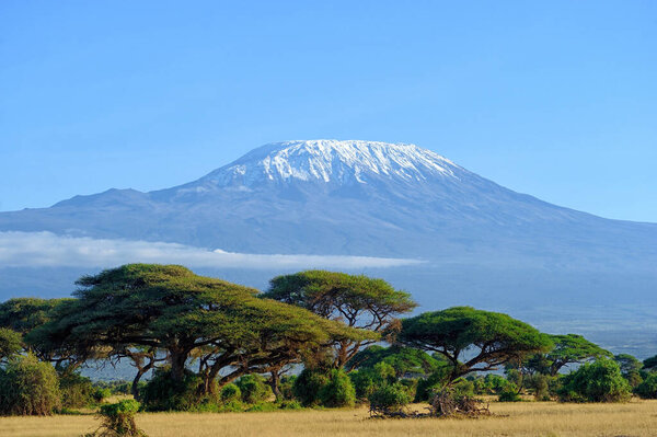 Landscape of Mount Kilimanjaro - the roof of Africa in Tanzania.
