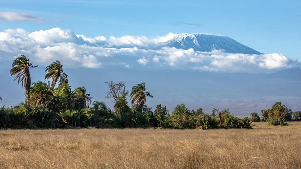 Paisagem Monte Kilimanjaro Telhado África Tanzânia — Fotografia de Stock