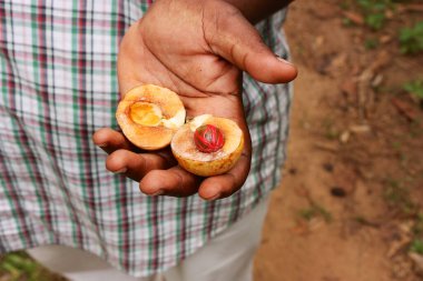 Zanzibar, tarihi bir şehir.