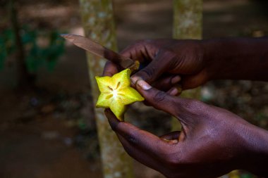 Zanzibar, tarihi bir şehir.