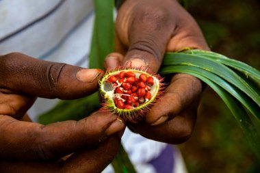 Zanzibar, tarihi bir şehir.
