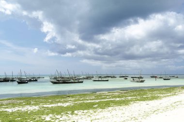 Zanzibar, tarihi bir şehir.