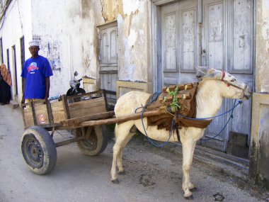 Zanzibar, tarihi bir şehir.