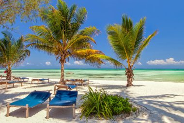 Zanzibar, tarihi bir şehir.