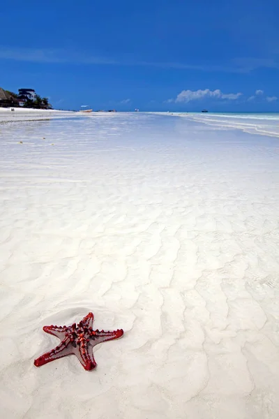 Zanzibar Tarihi Bir Şehir — Stok fotoğraf