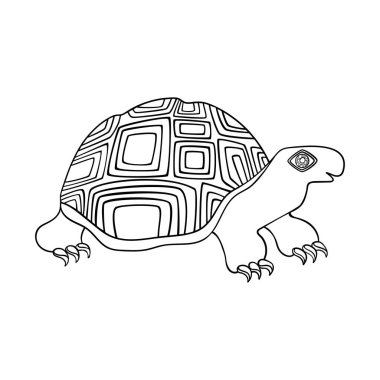 Retro desenli kaplumbağa - el çizimi vektör illüstrasyonu.