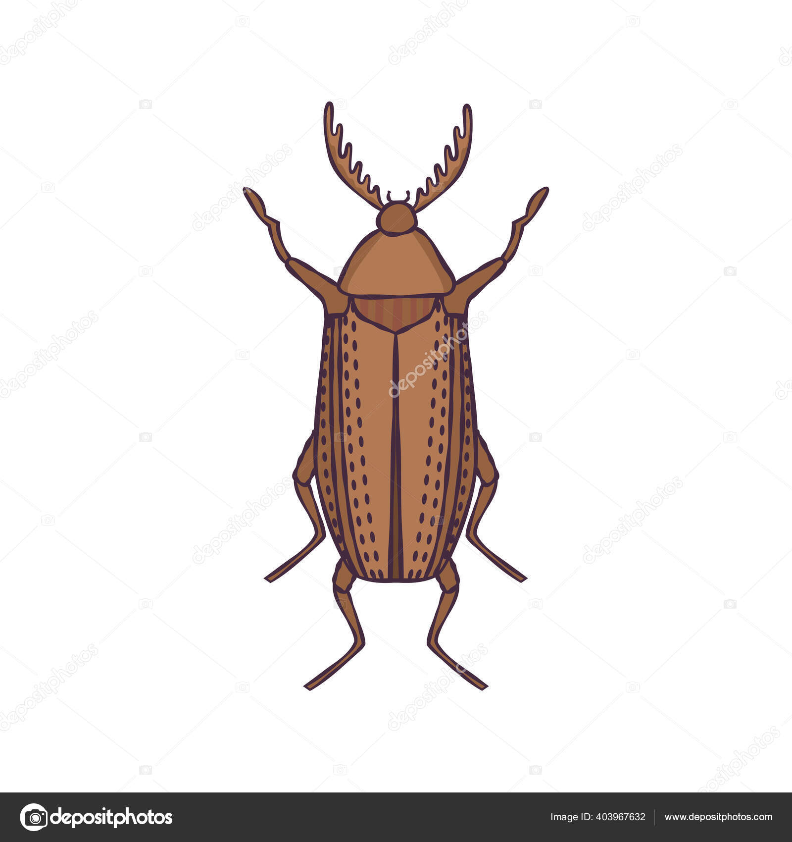 Klik Kumbang Gambar Gambar Tangan Gambar Gambar Gambar Gambar Gambar Stok Vektor C Larusm 403967632