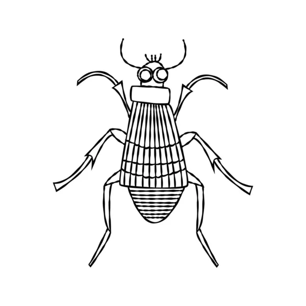 Escarabajo Enterrador Ilustración Vectorial Dibujada Mano — Archivo Imágenes Vectoriales