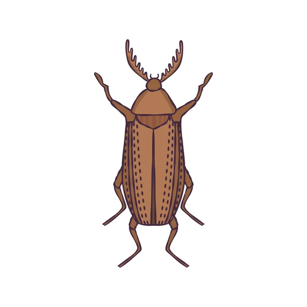 Haga Clic Escarabajo Ilustración Vectorial Dibujado Mano — Archivo Imágenes Vectoriales
