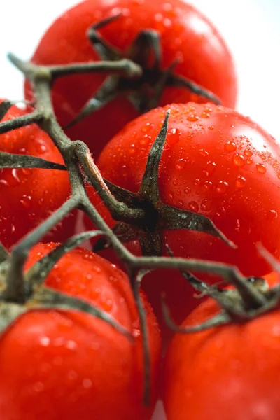 Rijpe Rode Tomaten Een Tak Met Dauwdruppels Van Dichtbij Een — Stockfoto