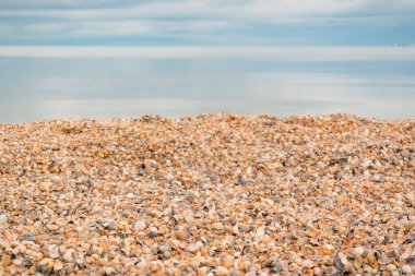 Arkaplanda deniz kabuğu sahili. Arkaplan resmi konsepti