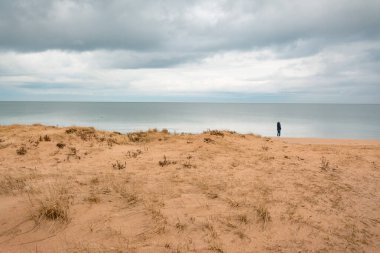 Kumsallar ve kumullar, bulutlu bir günde kumlu bir sahilde tek başına duran bir adam. Yumuşak pastel renkte resim, üst görünüm