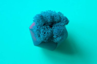 Turkuaz masa yosunu turkuaz arka planda küçük bir turkuaz çimento tenceresinde. Tek renkli fotoğraf senin tasarımın için yakın plan çekildi..