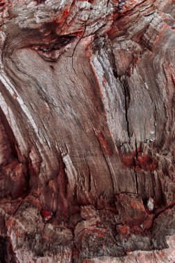 Doymuş kırmızı lekeli kırık bir ağacın dokusu. Dikey fotoğraf senin tasarımın için yakın plan çekildi..