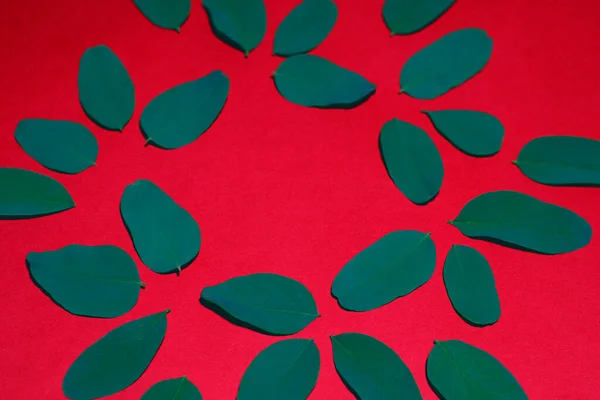Листья матово-зеленого цвета с вареньем снимали плоским слоем — стоковое фото